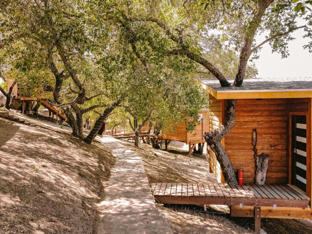 Boskenvid Hotel Boutique, Skypool Valle de Guadalupe Exterior photo