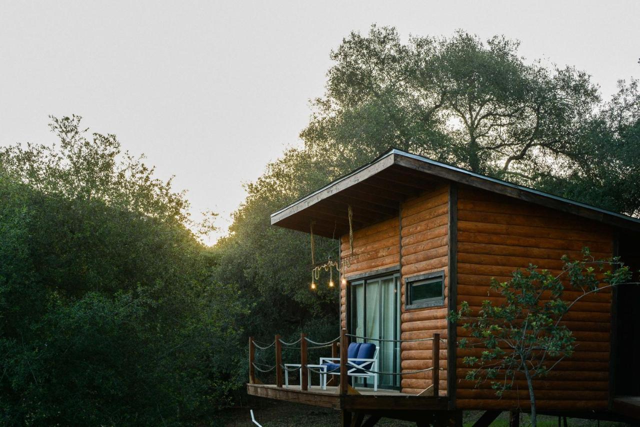 Boskenvid Hotel Boutique, Skypool Valle de Guadalupe Exterior photo