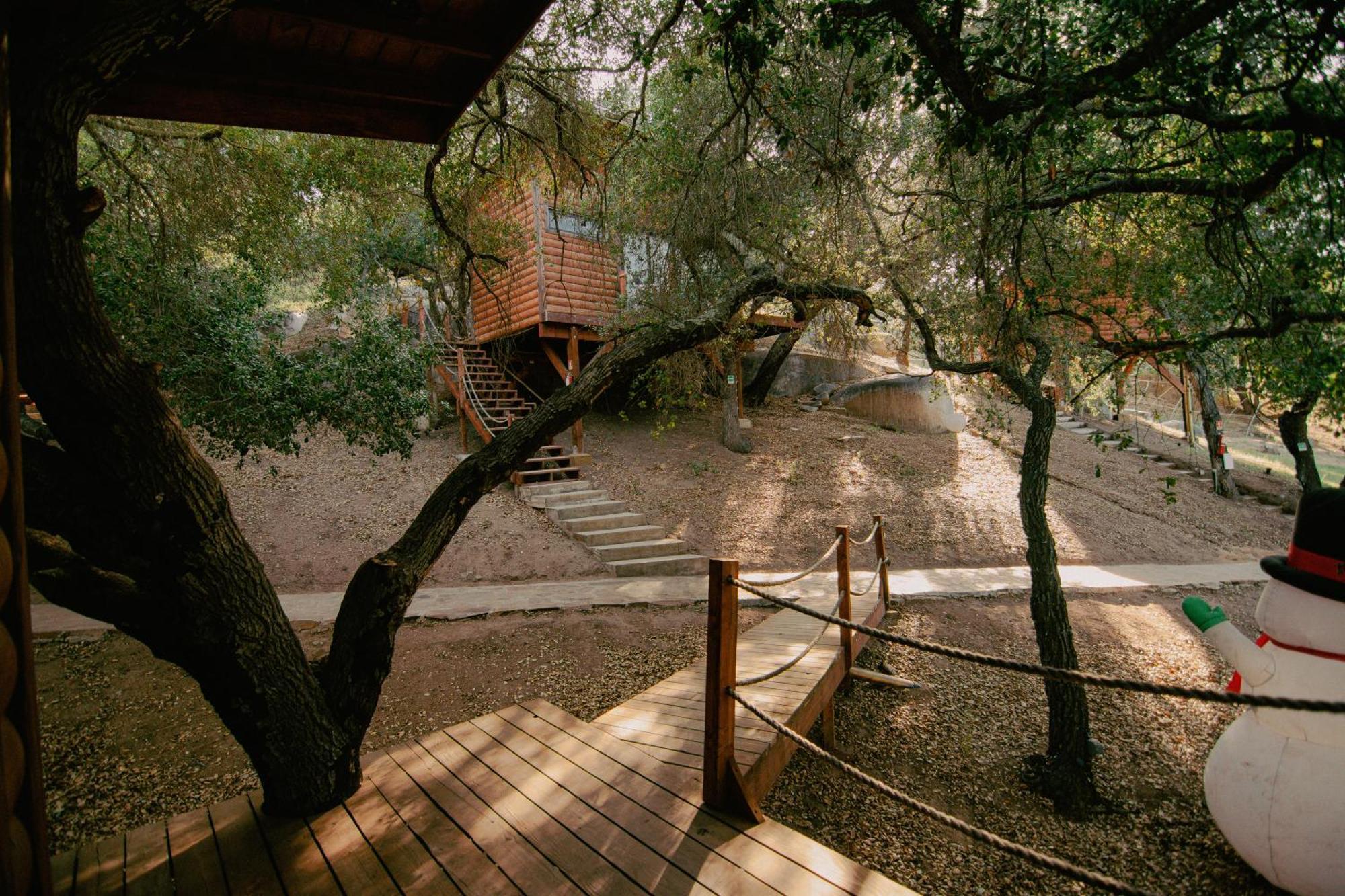 Boskenvid Hotel Boutique, Skypool Valle de Guadalupe Exterior photo